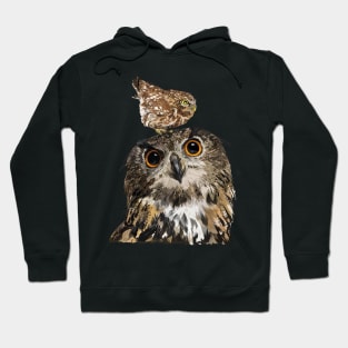 Nocturnal raptors Hoodie